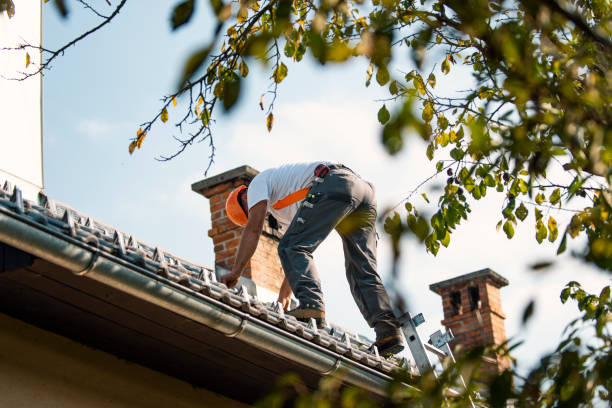 Best Gutter Installation and Repair  in Terryville, CT